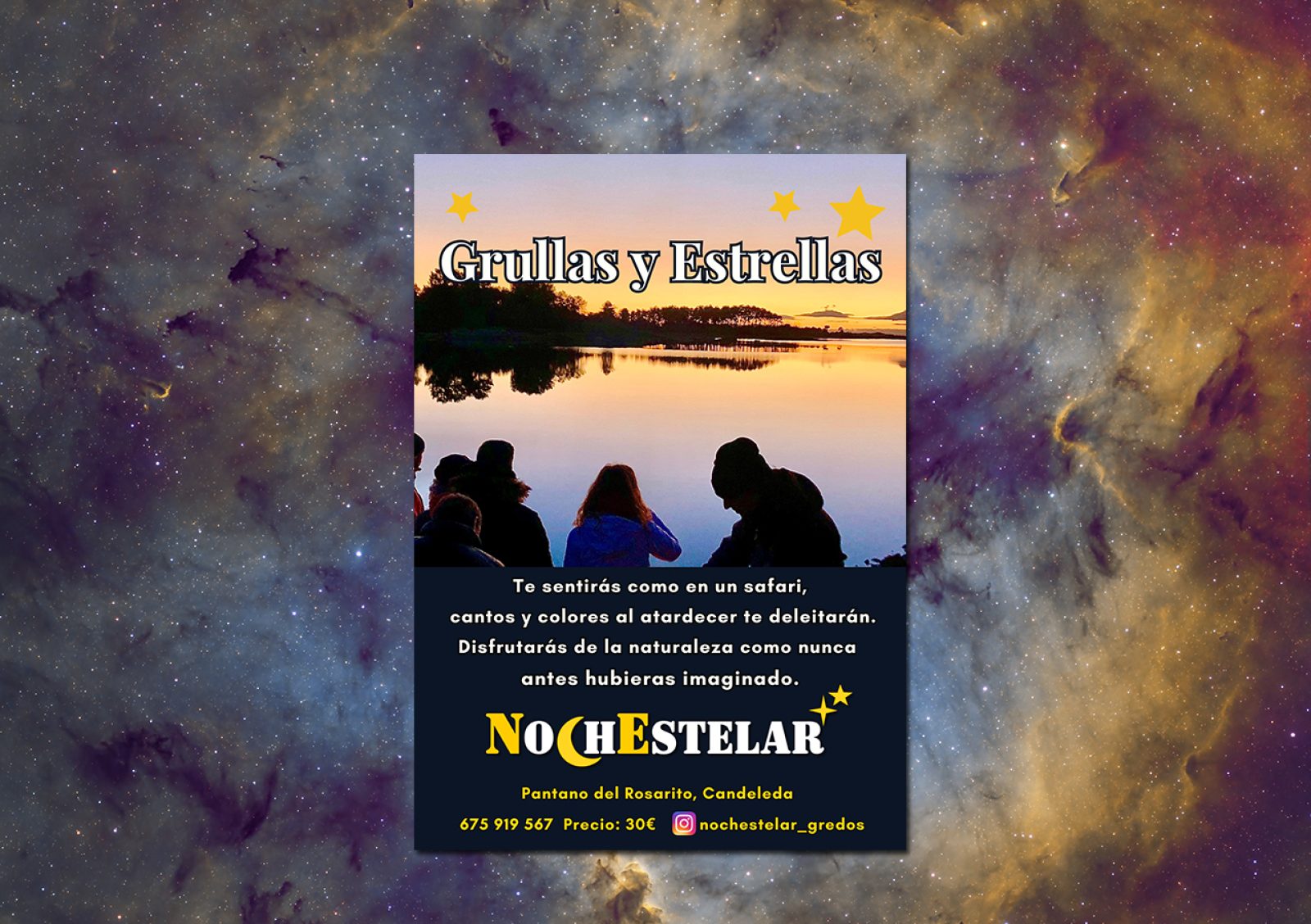 Grullas y Estrellas