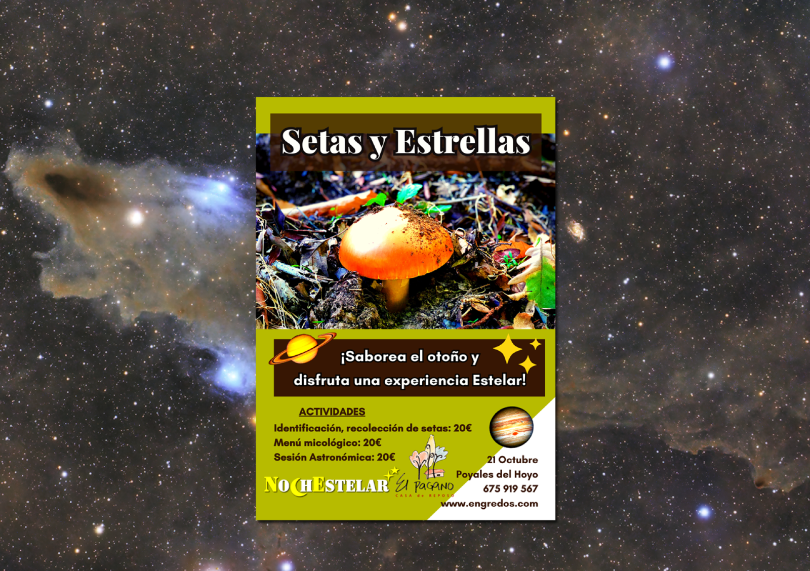 Setas y Estrellas